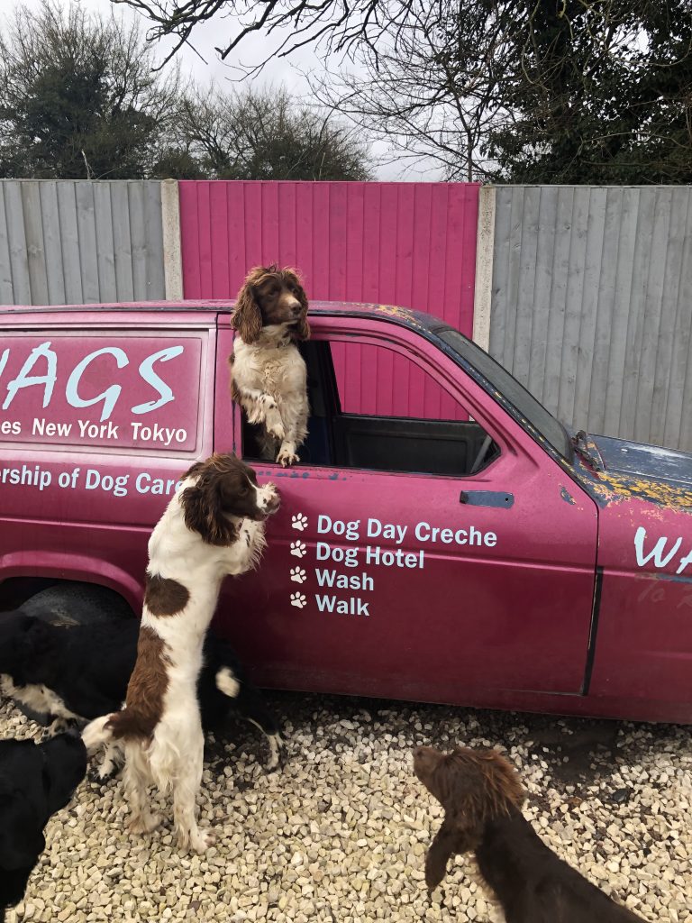 Dog Kennels Coalville