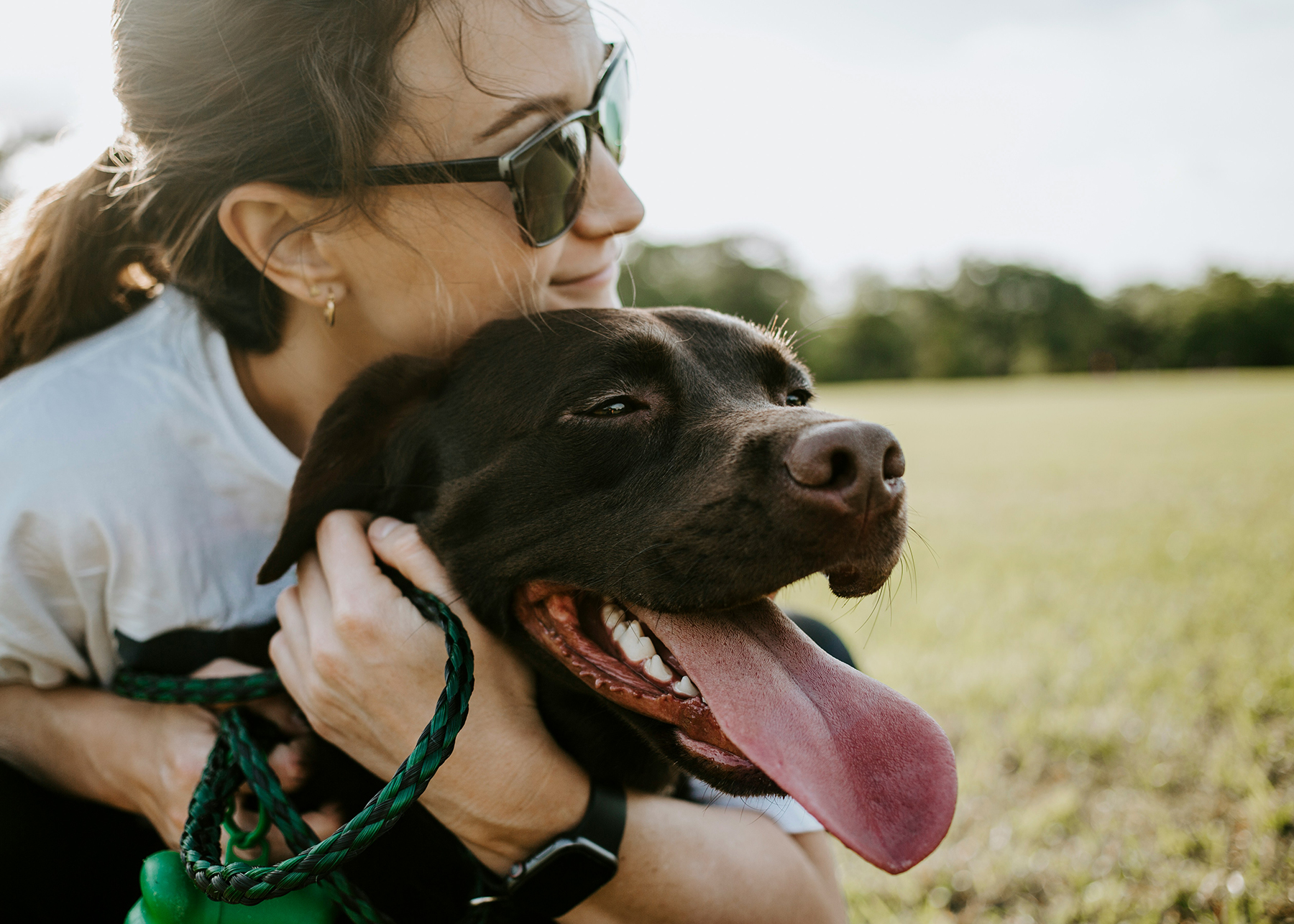 How To Help Your Dog Cope In Hot Weather